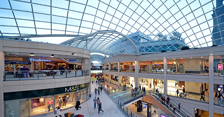 Shopping Malls & Store Groups 